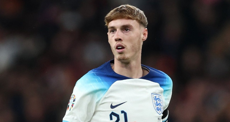 实战机会 实战机会